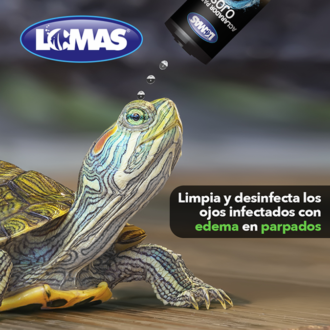 Aclarador De Ojos Para Tortuga