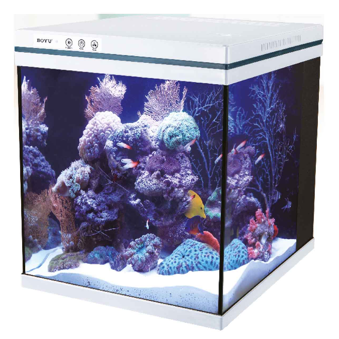 Acuario Boyu MEZ