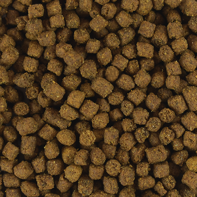 Alimento Para Erizos Select 800 gr