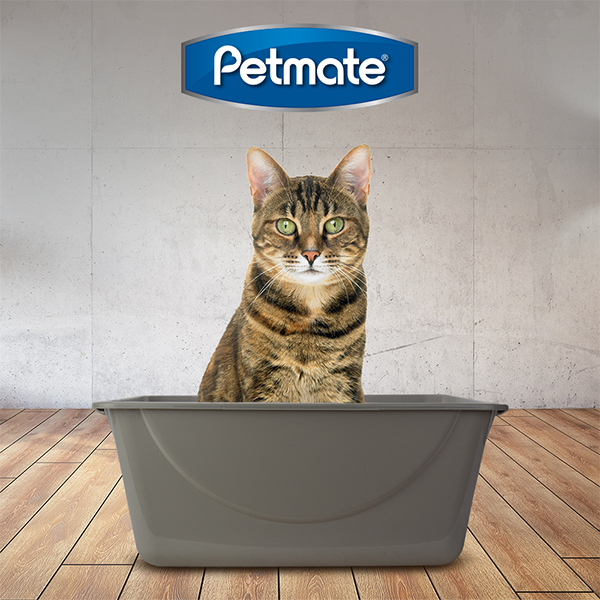 Arenero Petmate