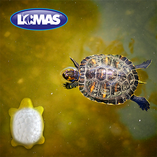 Calcio Para Tortugas Con Vitamina A