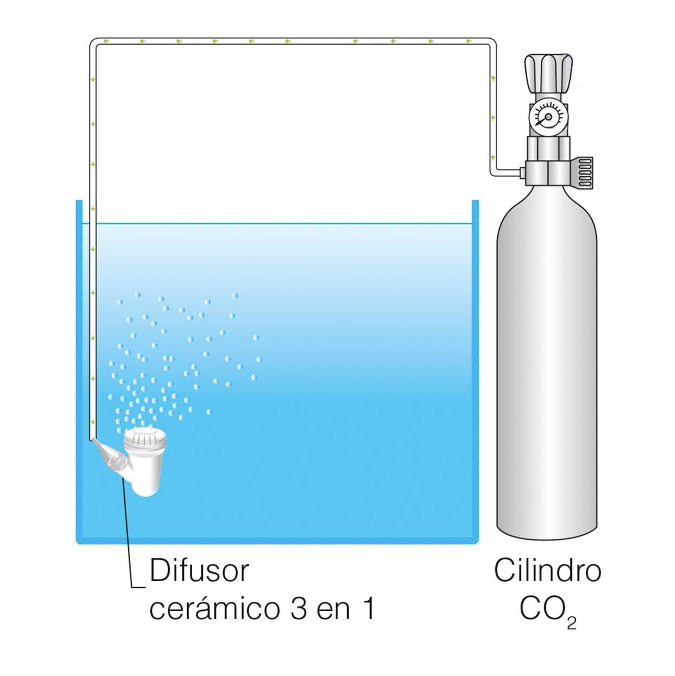 Difusor Compacto Para CO2 3 en 1 ISTA
