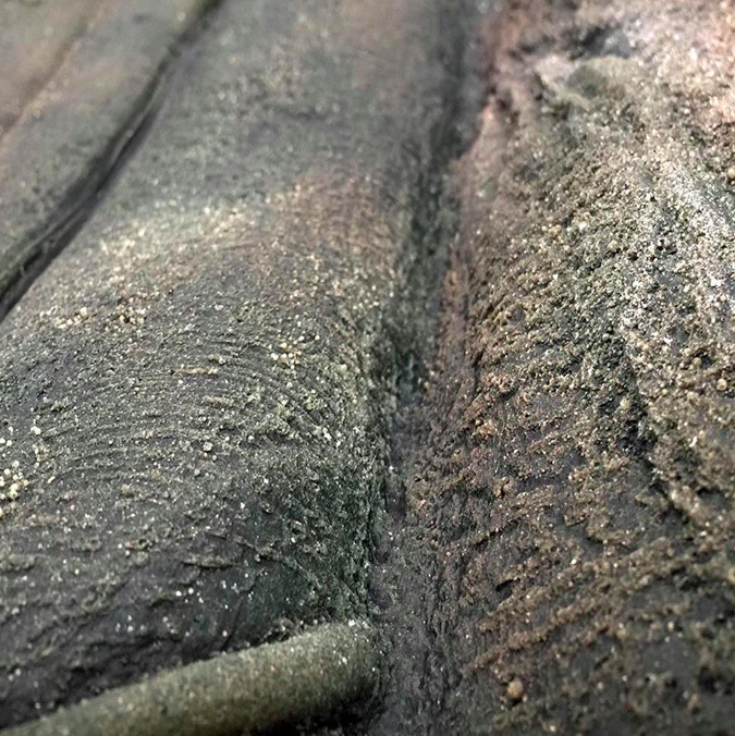 Fondo 3D Rain Forest