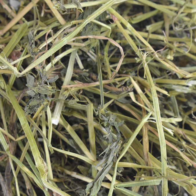 Heno De Alfalfa Para Herbivoros 500 gr