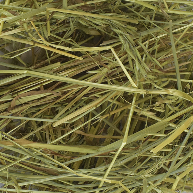 Heno De Avena Para Herbivoros 500 gr