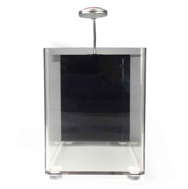 Acuario IQ5 Dymax Purpura
