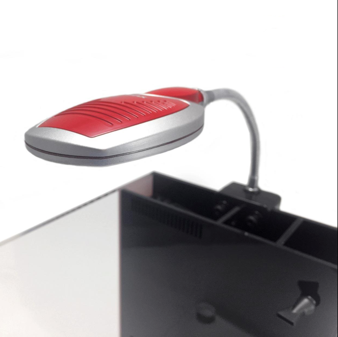 Acuario IQ5 Dymax Purpura