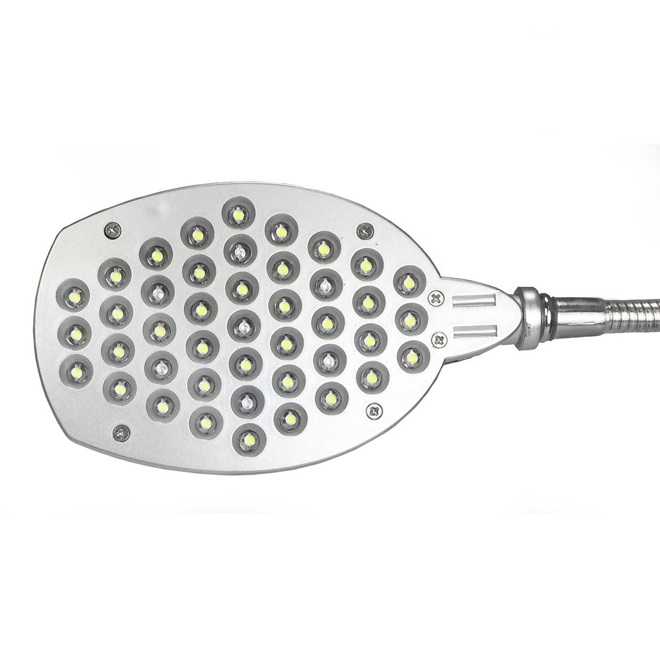 Acuario IQ5 Dymax Purpura
