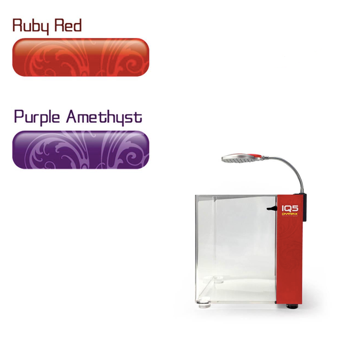 Acuario IQ5 Dymax Purpura