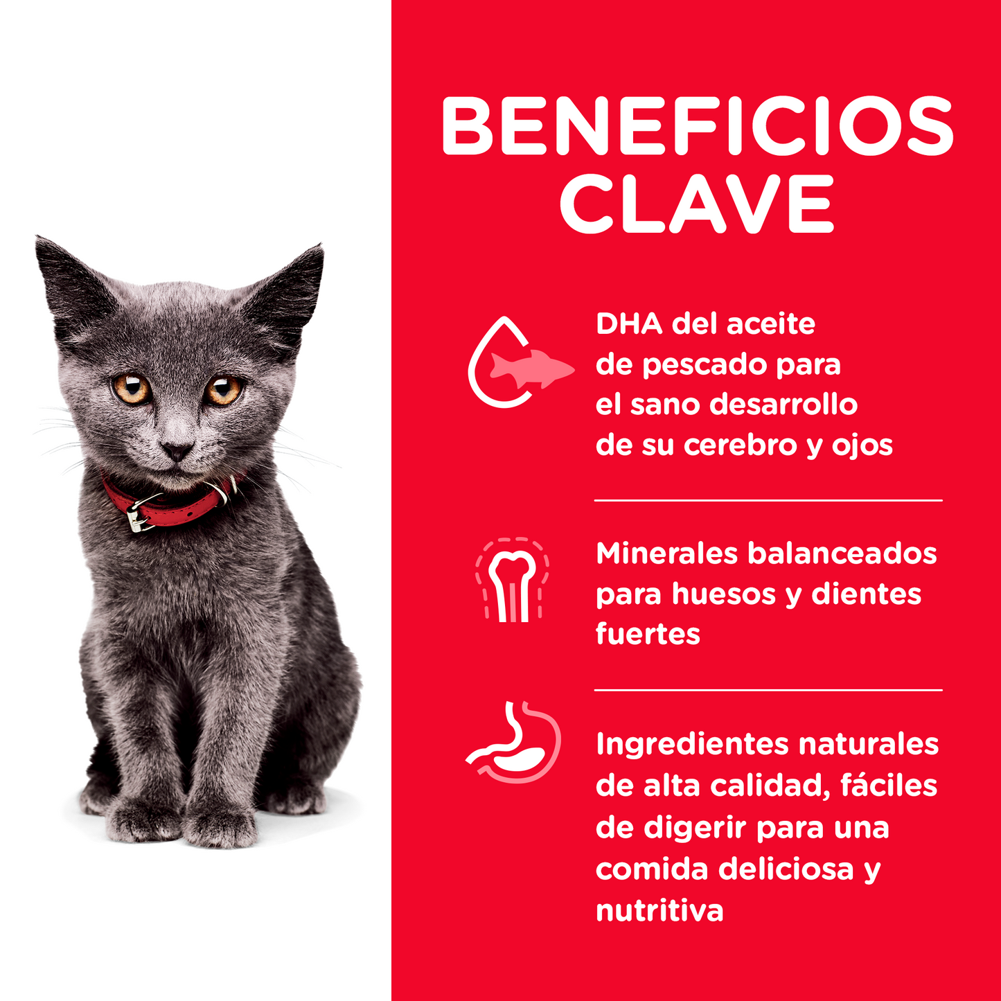 Hill's Science Diet Kitten Indoor