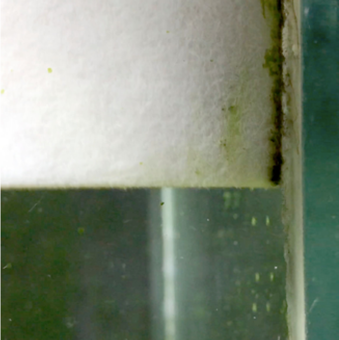 Pad Fibra Anti Rayaduras