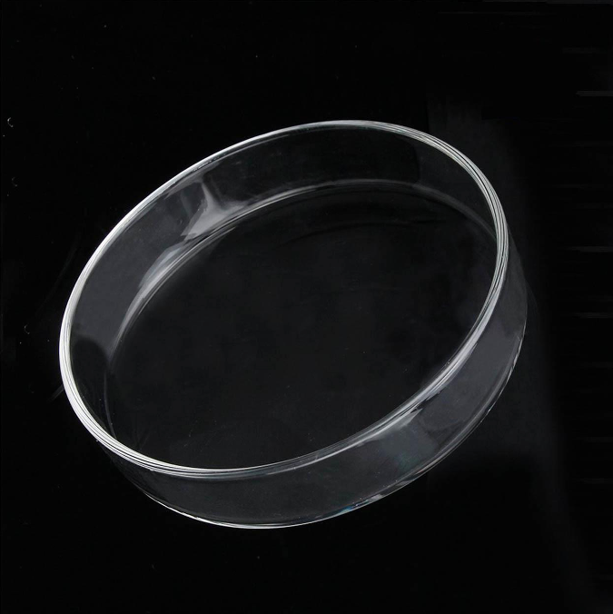 Plato de Cristal Para Alimentar Camarones ISTA