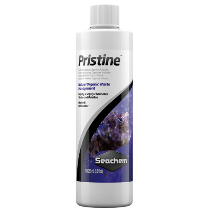 Pristine