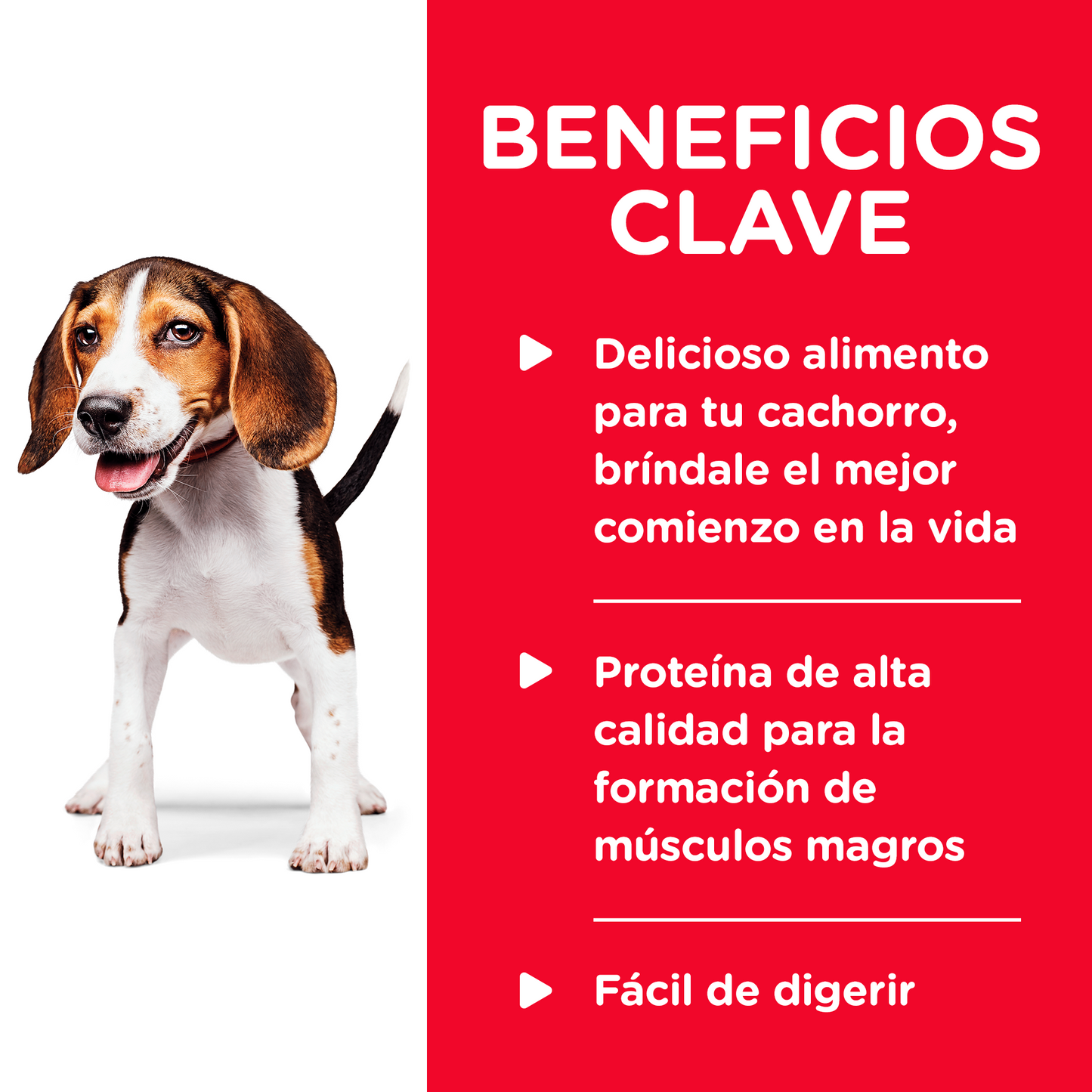 Hill's Science Diet Puppy Lata 370 gr