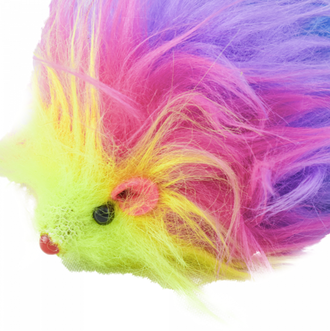 Raton Arcoiris Catch