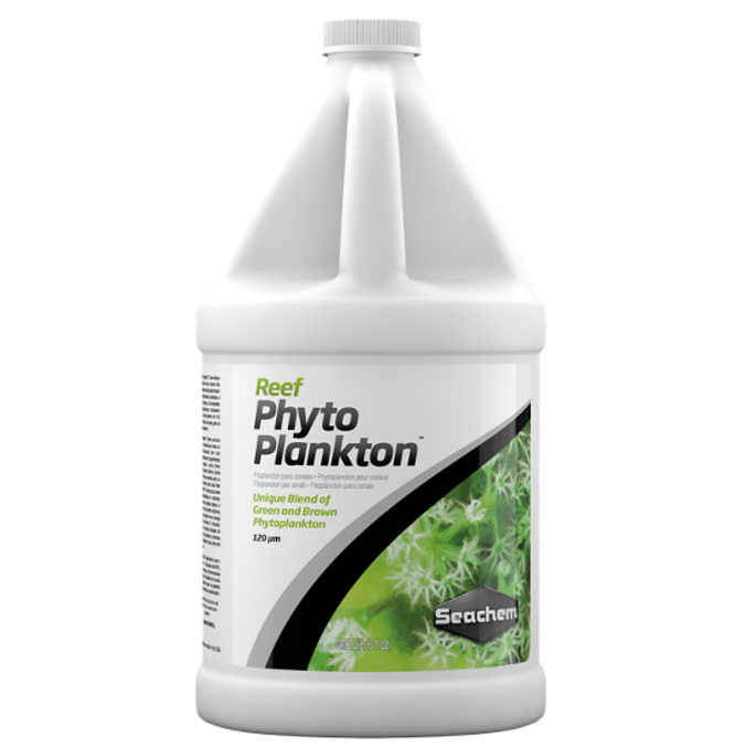 Reef Phytoplankton