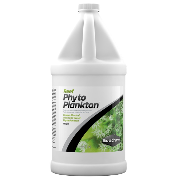 Reef Phytoplankton
