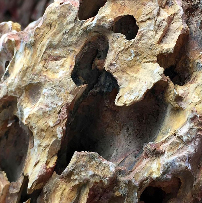 Rocas Decorativas Naturales Dragon