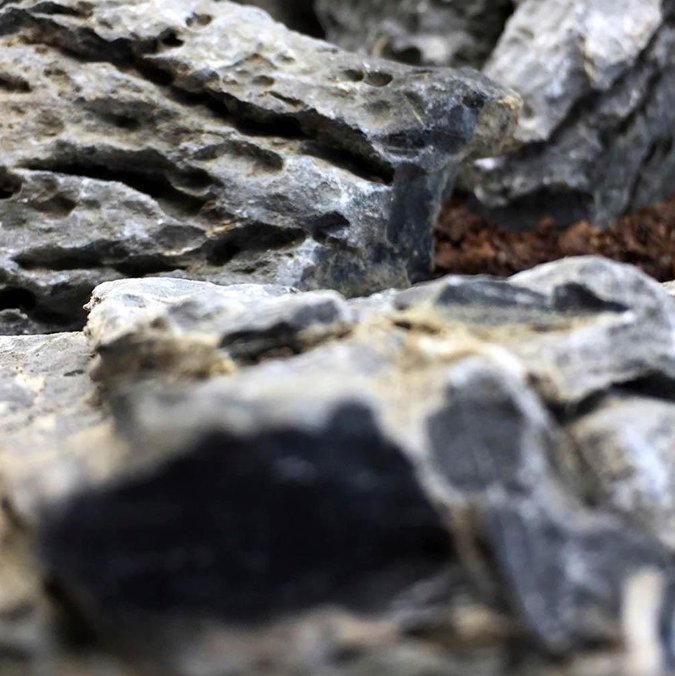 Rocas Decorativas Naturales Seiryu