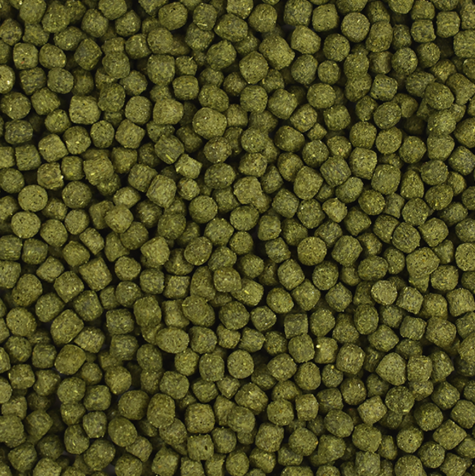 Alimento Spirulina Boost Para Ciclidos 70g