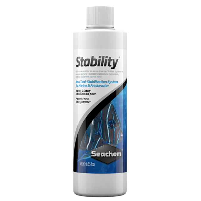 Stability