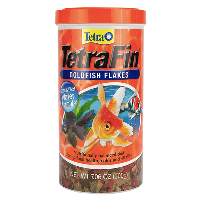 TetraFin Goldfish Falkes