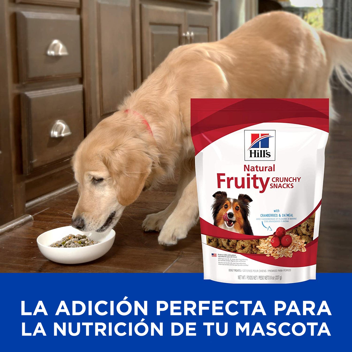 Hill's Science Diet Treat Arandano y Avena 230 gr