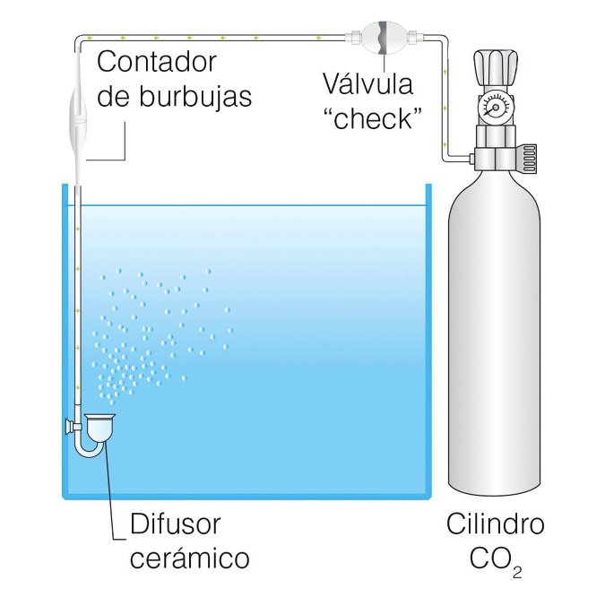 Valvula Check Para CO2 ISTA
