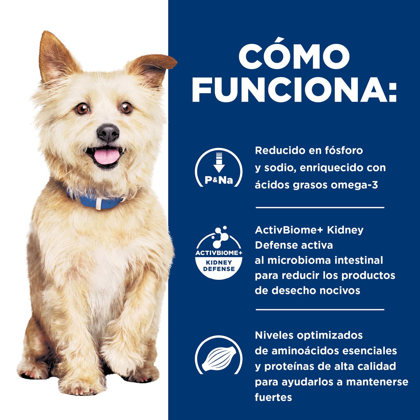 Hill's Prescription Diet k/d Estofado Lata 350 gr