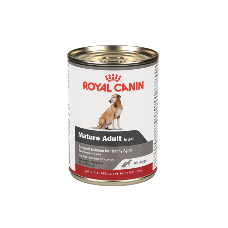 Lata Mature All Dogs 385 gr