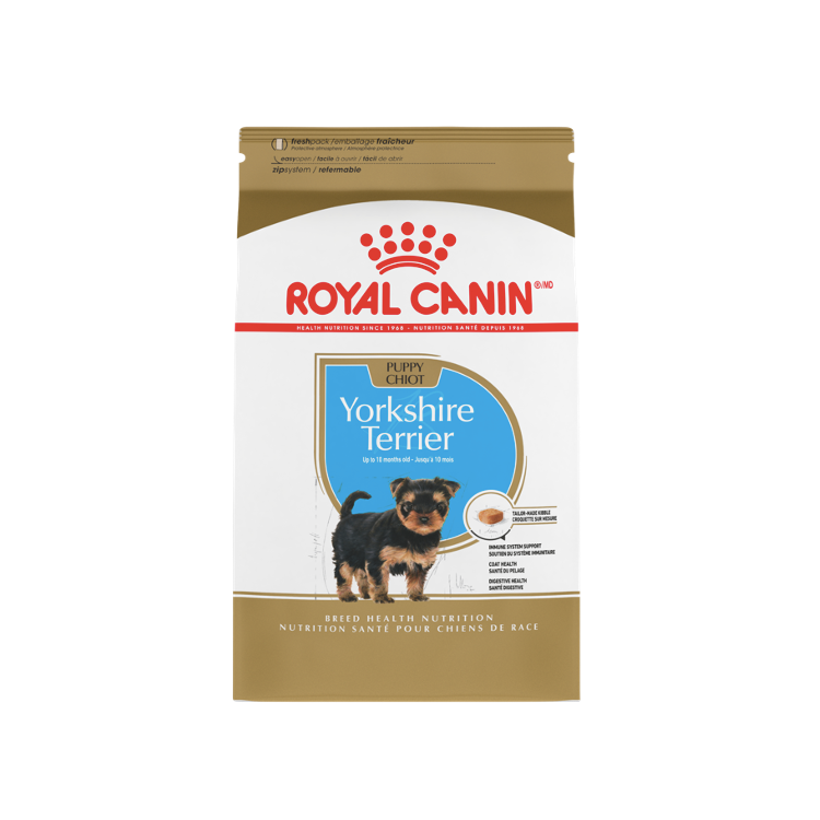Yorkshire Puppy 1 kg