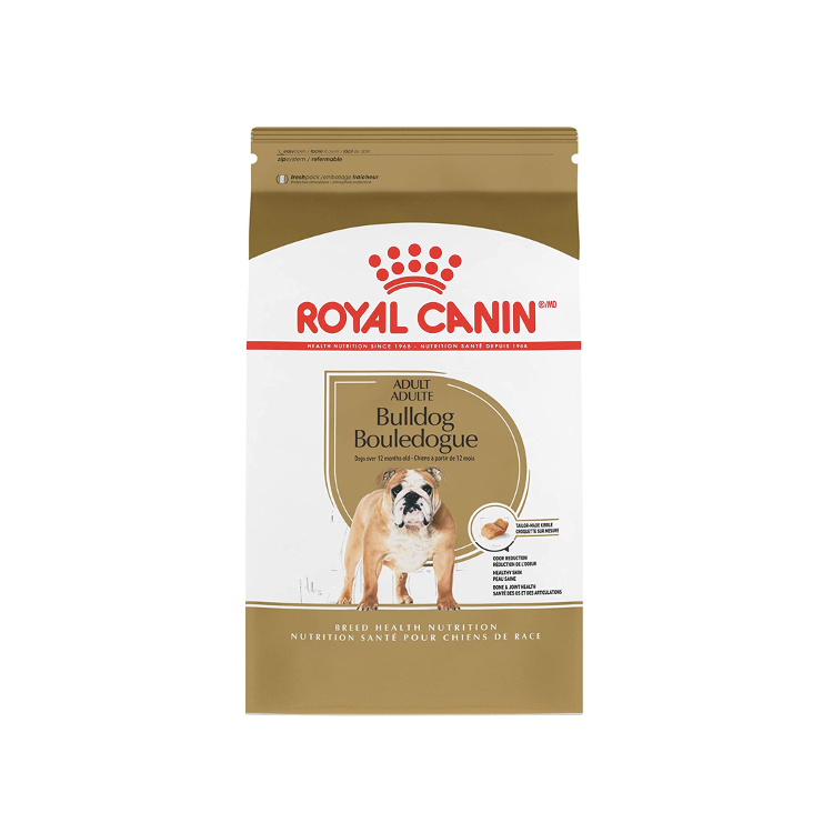 Bulldog Adult