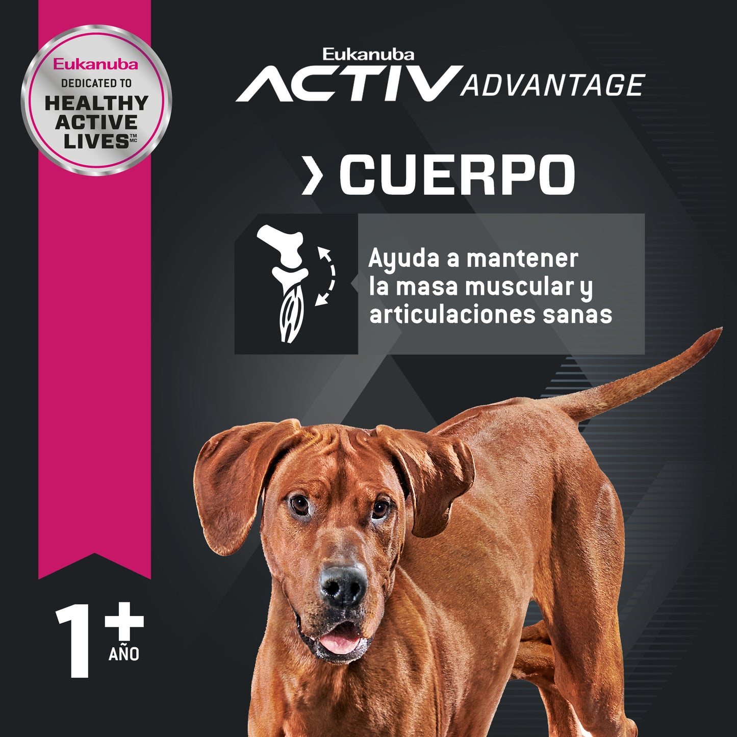 Adult Large Breed 13.6 kg