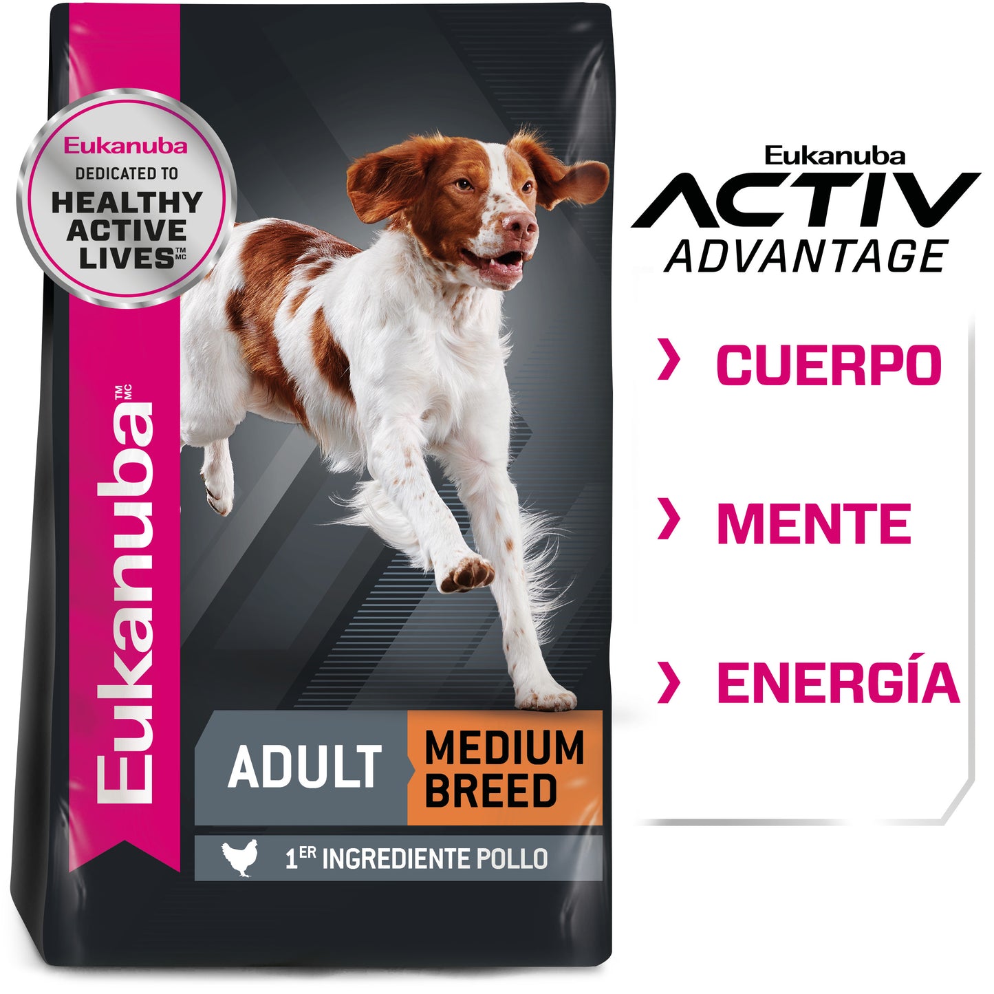 Adult Medium Breed