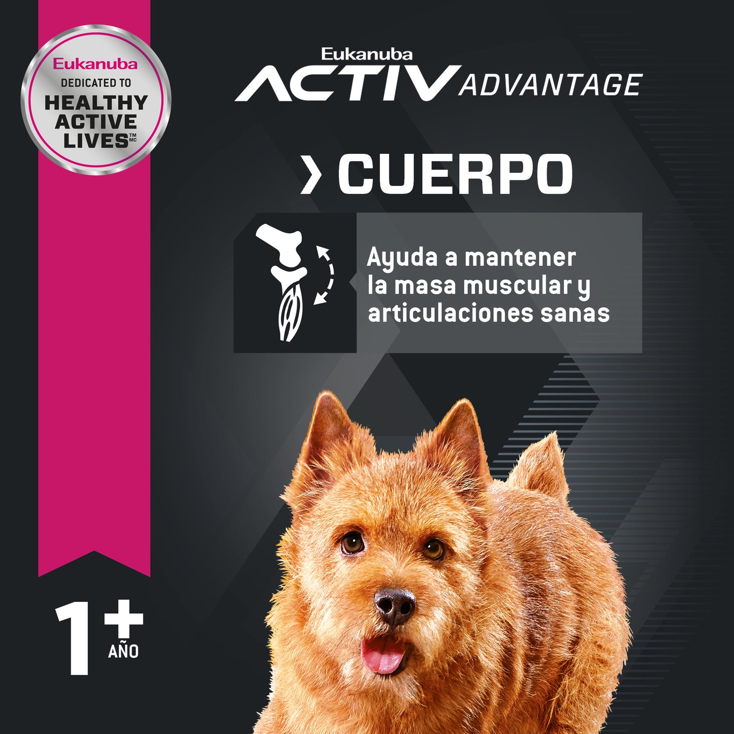 Adult Small Breed