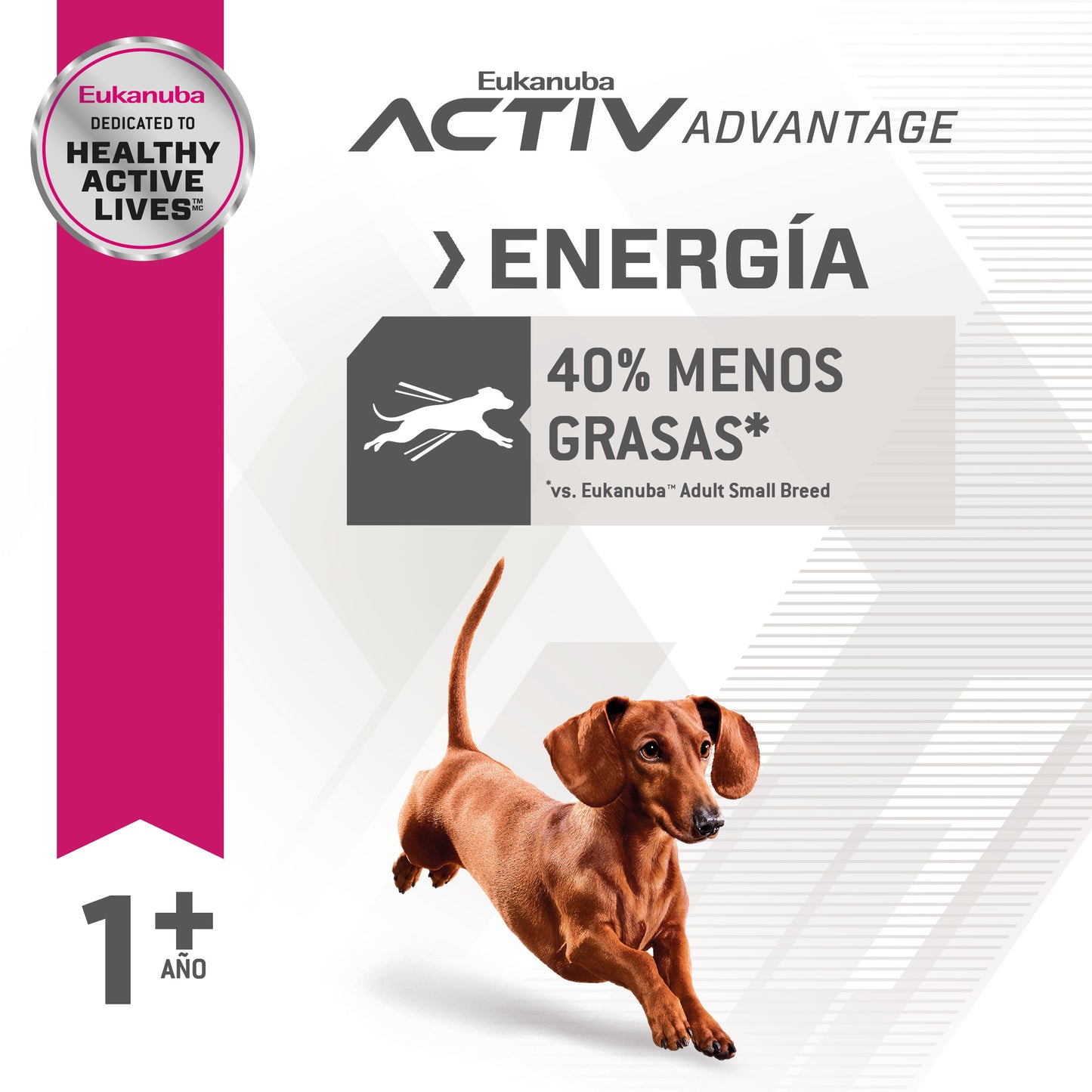 Fit Body Small Breed