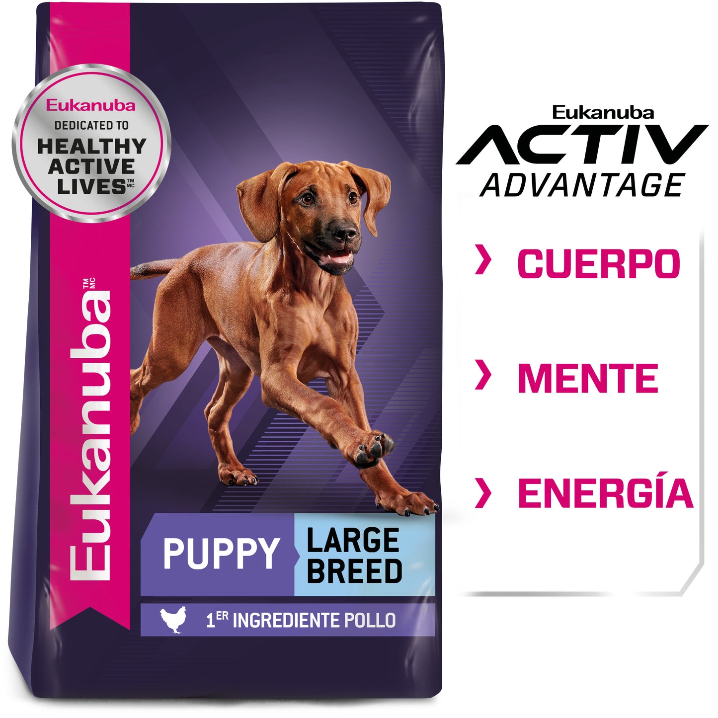 Puppy Large Breed