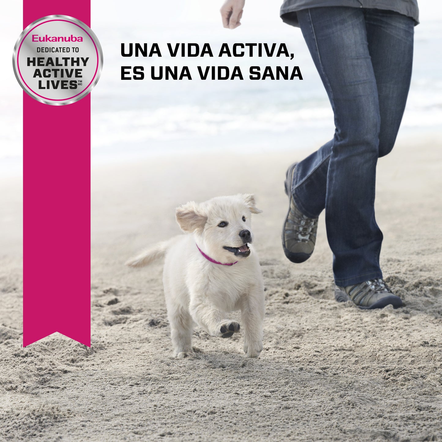 Puppy Medium Breed