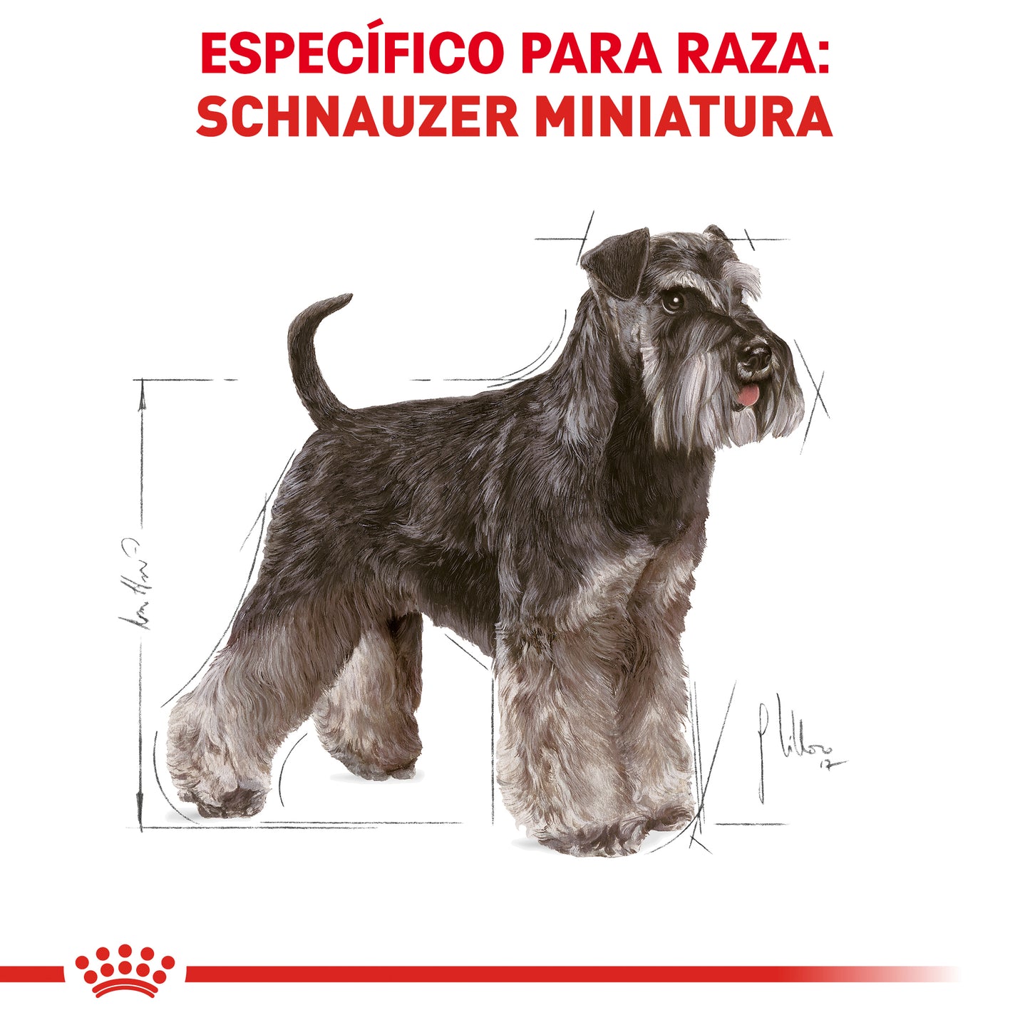 Mini Schnauzer Adult 4.5 kg