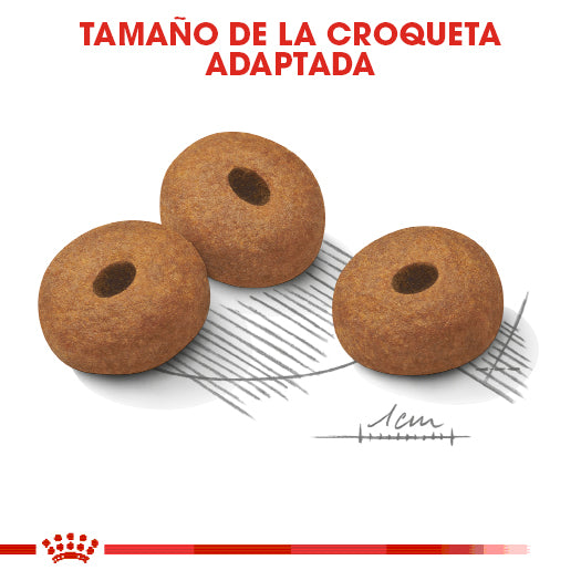 Large Weight Care 13.6 kg