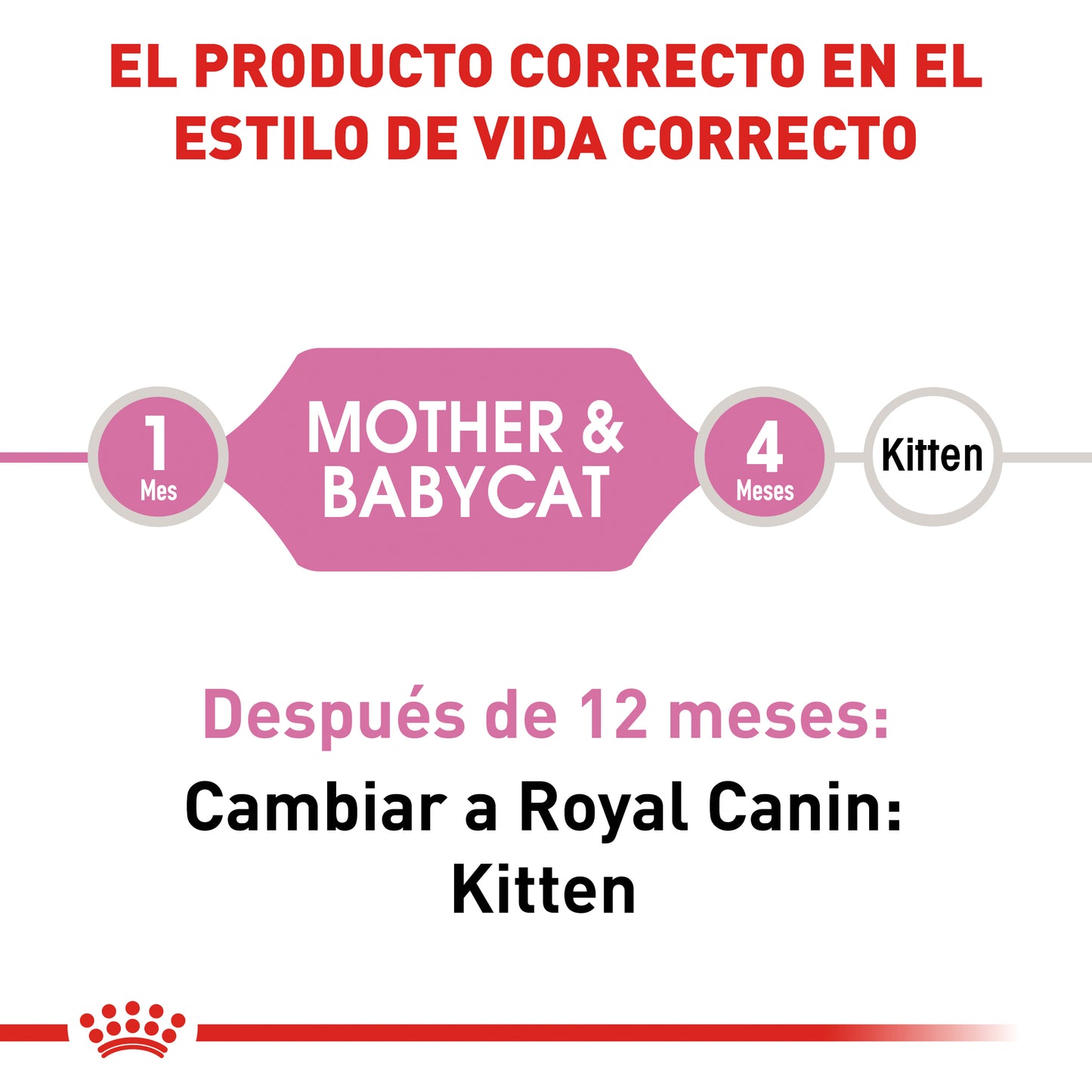 Mother & Babycat 1.3 kg