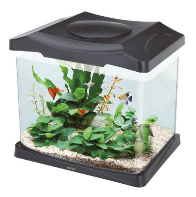 Acuario Boyu DSN-315 20 Litros