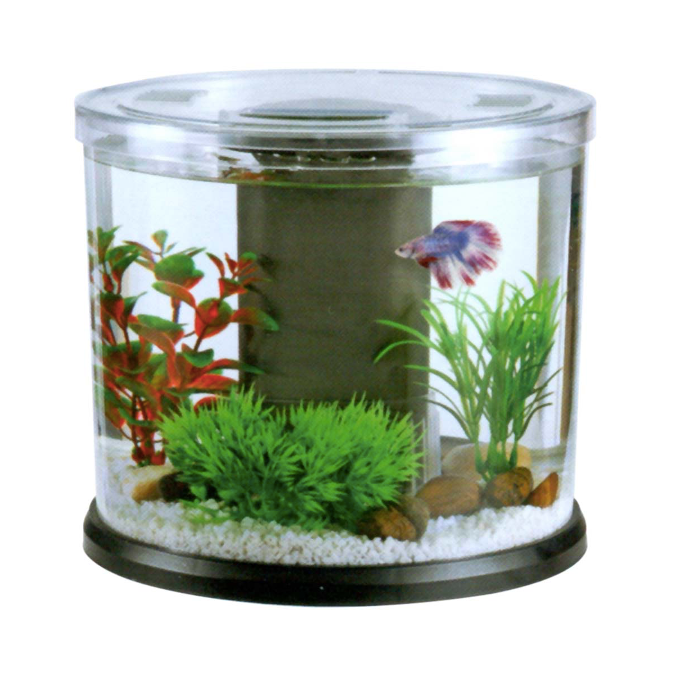 Acuario Boyu DY
