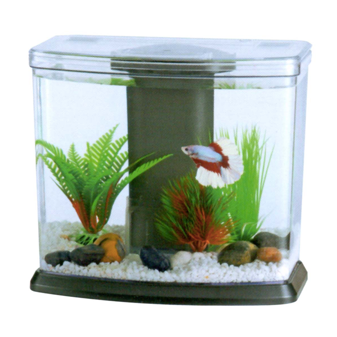 Acuario Boyu DY