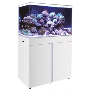 Acuario Boyu HA