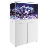 Acuario Boyu HA