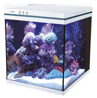 Acuario Boyu MEZ