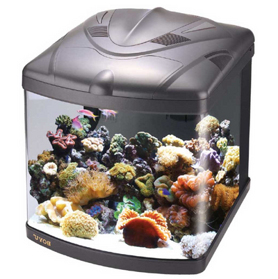 Acuario Boyu TL-550 128 Litros