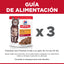 Hill's Science Diet Adult Original Pouch Pollo 80 gr