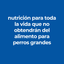 Hill's Science Diet Adult Small & Mini Tray Res y Vegetales 100 gr